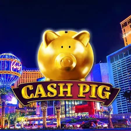 Cash Pig