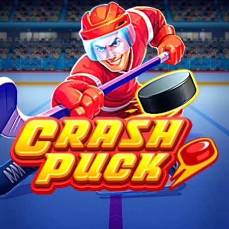 Crash Puck
