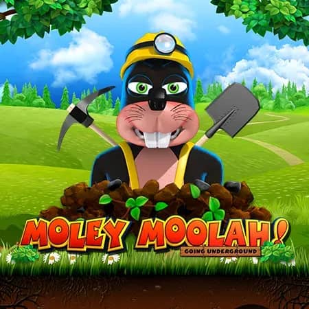 Moley Moolah